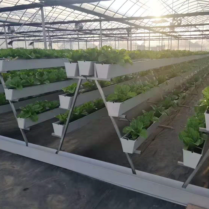 草莓立体种植槽尚霖厂家批发