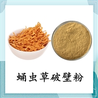 蛹蟲草破壁粉 斯諾特 可定制