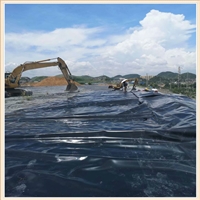 土工膜0.20.30.40.5藕池鱼池虾池防渗膜