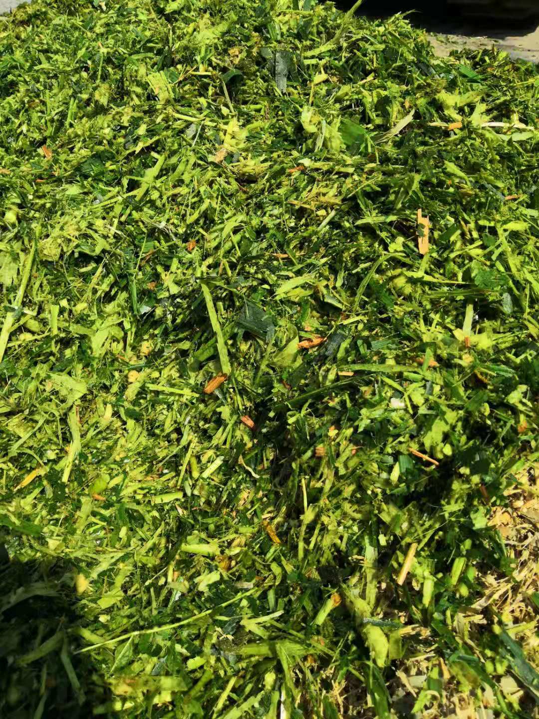 轮式玉米秸秆青储收割机