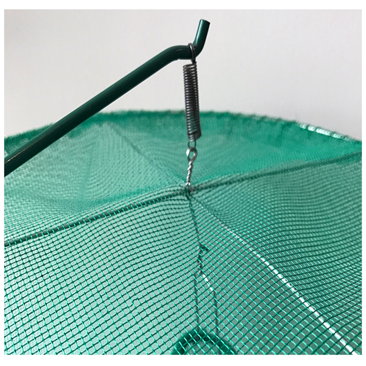 捕蝇笼悬挂式捕蝇器诱捕笼灭苍蝇笼子抓捉苍蝇杀手引诱工具家用