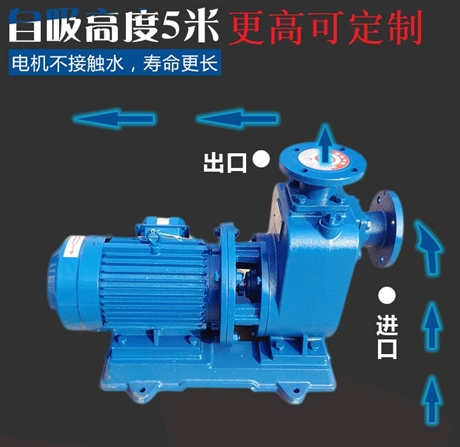 博禹泵业 污水泵 自吸排污泵 自吸式无堵塞排污泵定制