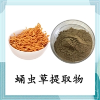 蛹蟲草提取物 斯諾特 可定制