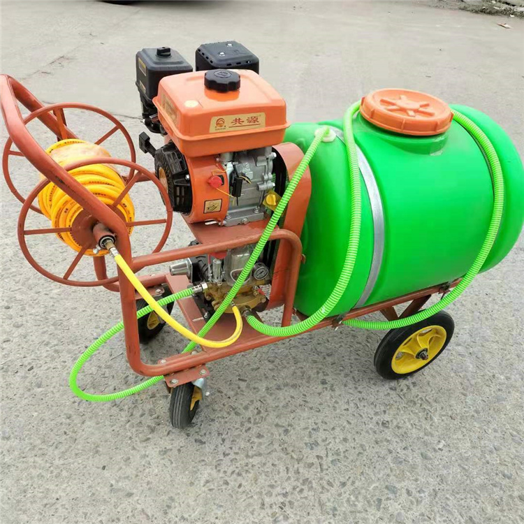 手推式汽油打药机 车间消毒打药机 华晨养殖场消毒机