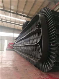 输送机大倾角挡边带 大倾角挡边运输带 耐寒挡边输送带