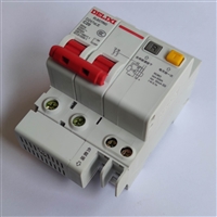 德力西断路器DZ47SLE 2P C 16A 小型家用漏电保护器