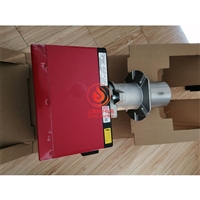 RIELLO利雅路天然气燃烧器40 GS10/M