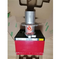 RIELLO利雅路燃烧器FS10