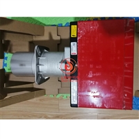 利雅路燃气燃烧器FS20