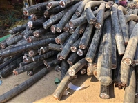 深圳蛇口回收电缆线  深圳蛇口废旧电缆线回收 选那家价高