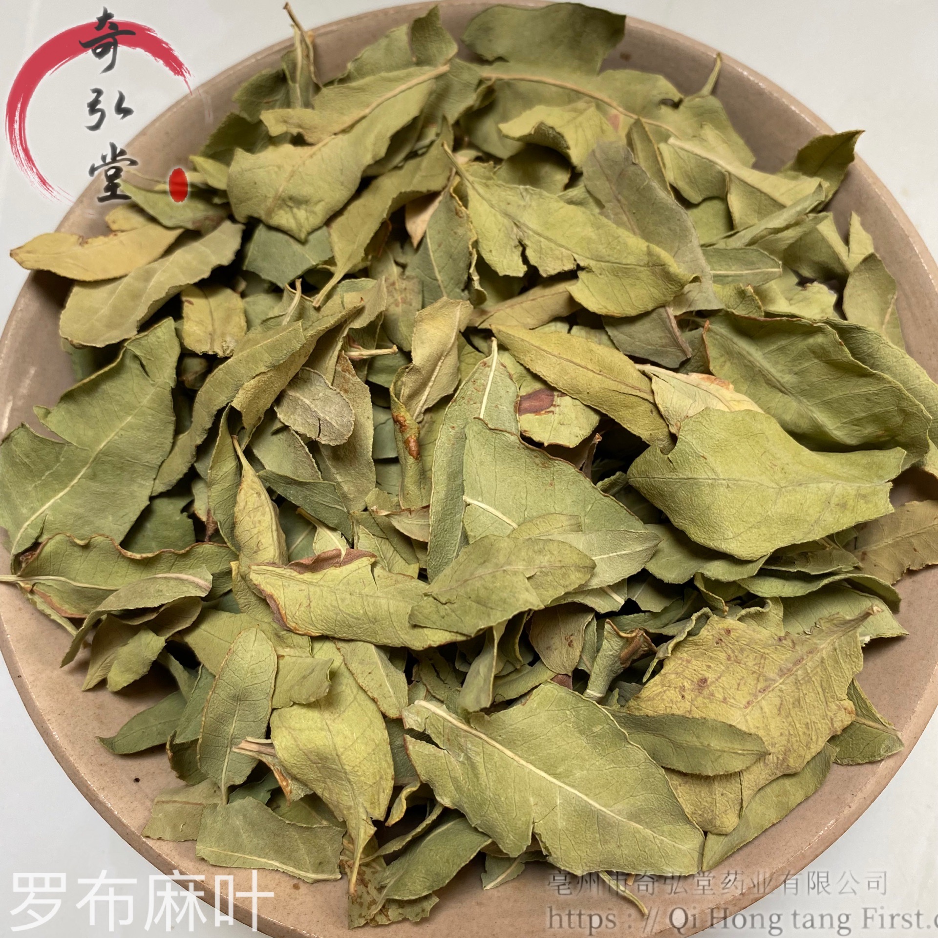 罗布麻叶小芒尖图片