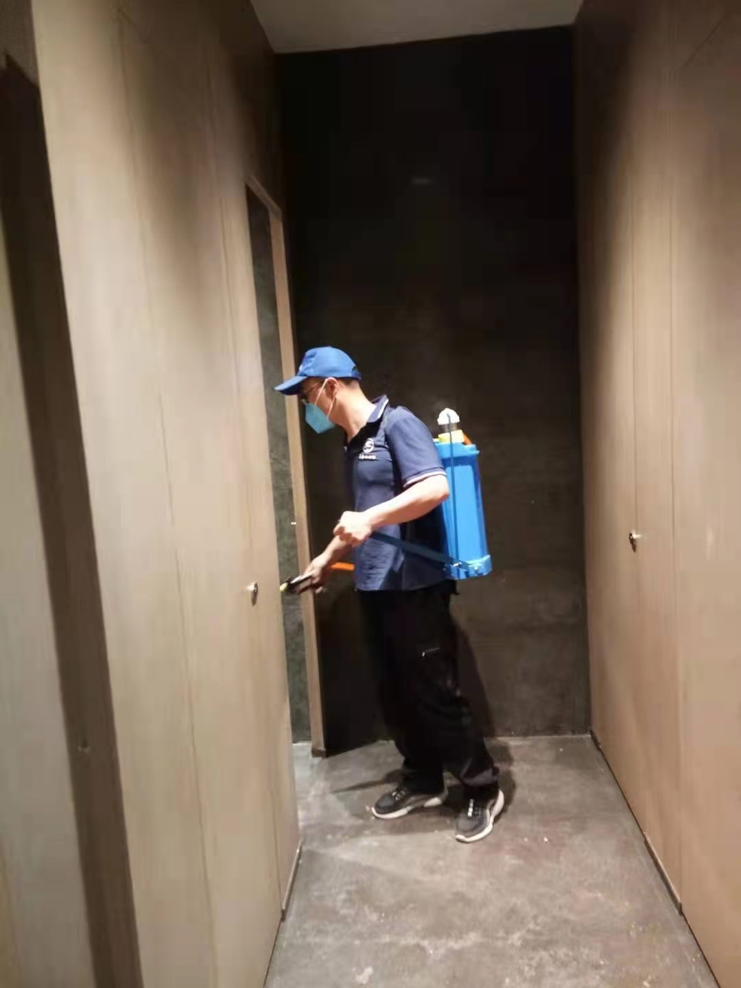 西安酒店除白蚁,别墅灭白蚁公司,西安白蚁消杀公司