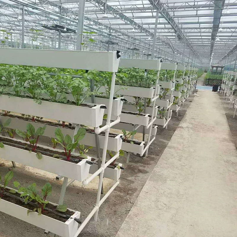 草莓种植槽大棚后墙立体种植槽