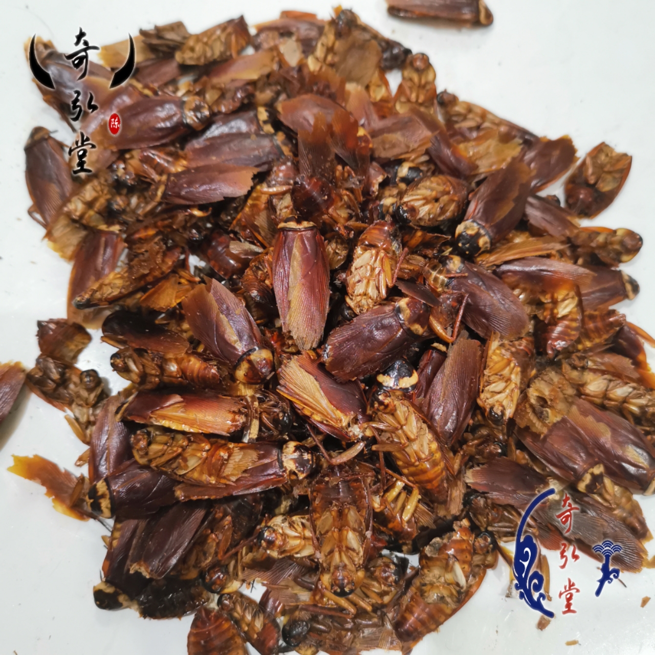 蟑螂拼音zhānɡ lánɡ别名蜚,蠦蜰(《尔雅》),蜚蠊(《本经》),飞蟅