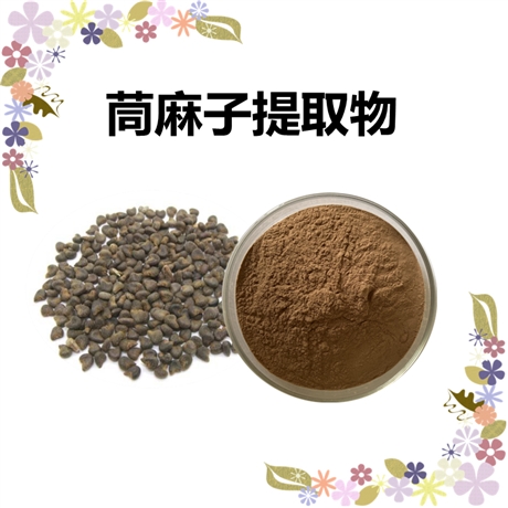 10:1茼麻子浓缩粉 斯诺特生产 全水溶  茼麻子 提取物