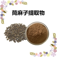 10:1茼麻子浓缩粉 斯诺特生产 全水溶  茼麻子 提取物