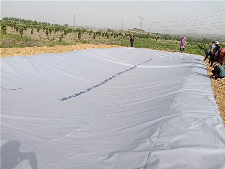 集雨水窖榆阳软体集雨水窖陕北集水灌溉新方法大厂家发货快