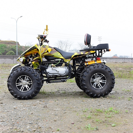 大火星竞速沙滩车大排量摩托车大火星四驱沙滩车