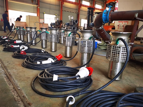 大流量移动式防洪泵 QW1000-10大流量移动式防洪泵