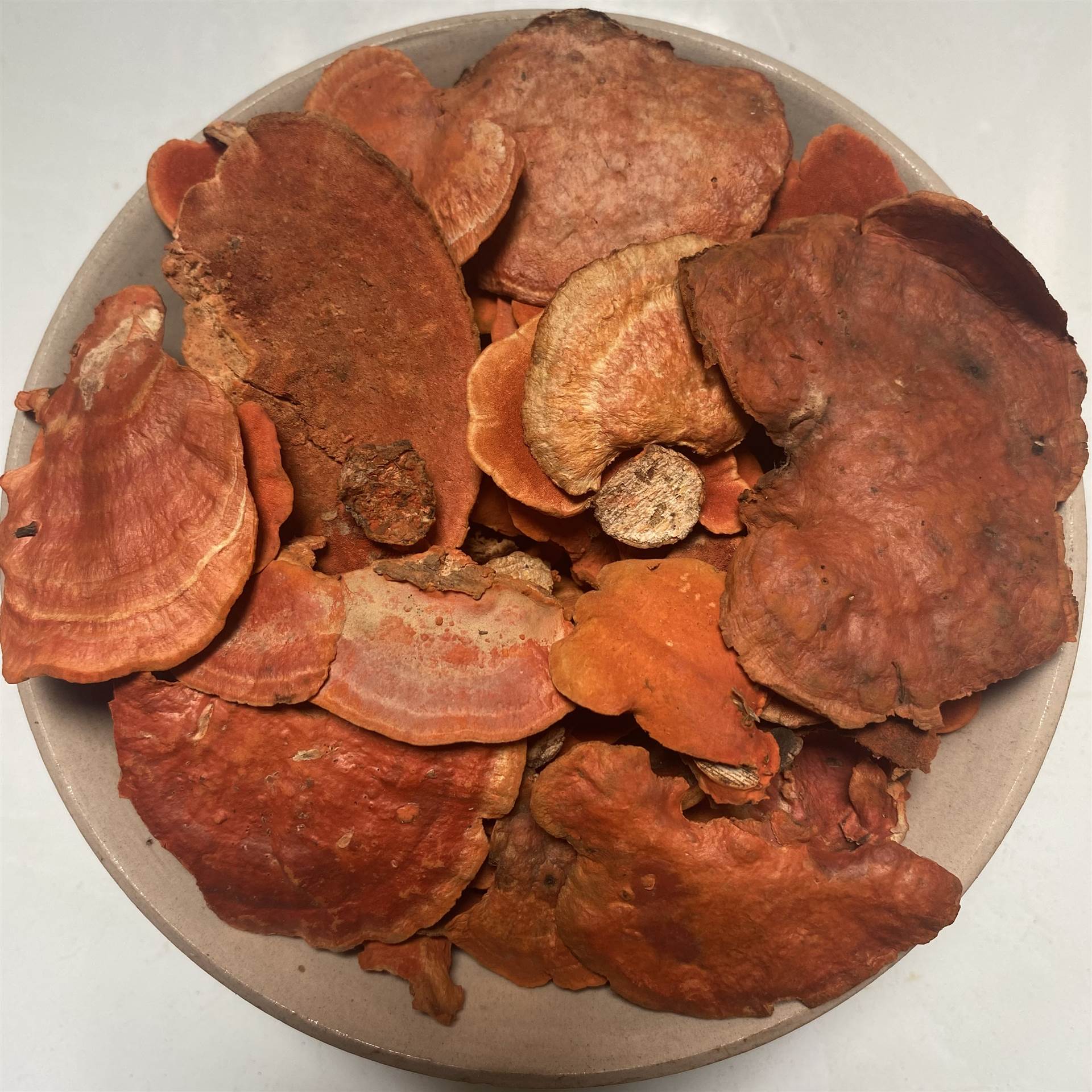 出售中药材牛樟芝