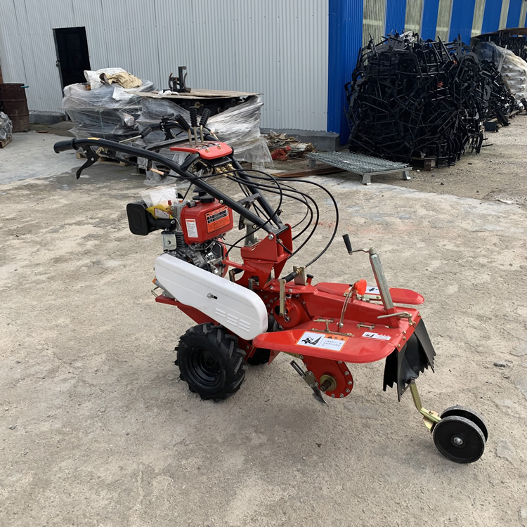 福泉微型微耕机丽建190柴油水冷生姜开沟培土机