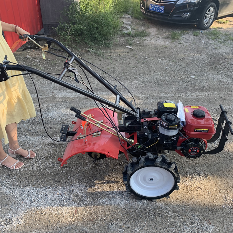 195风冷柴油芦笋开沟培土机丽建江口水田微耕机