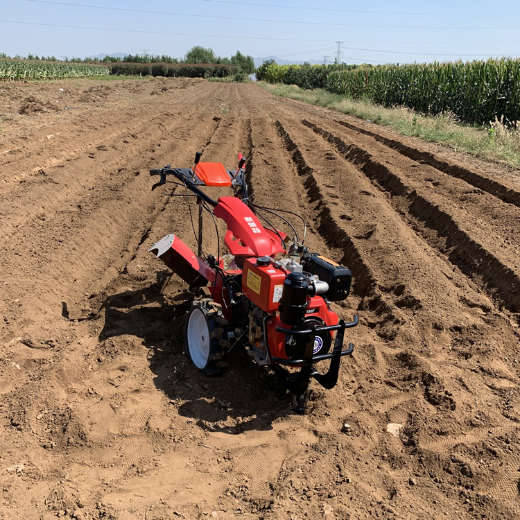 195风冷柴油芦笋开沟培土机丽建江口水田微耕机