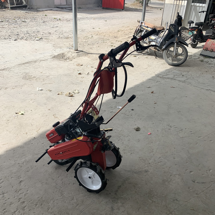 195风冷柴油单缸微耕机丽建沛县独轮链轨微耕机