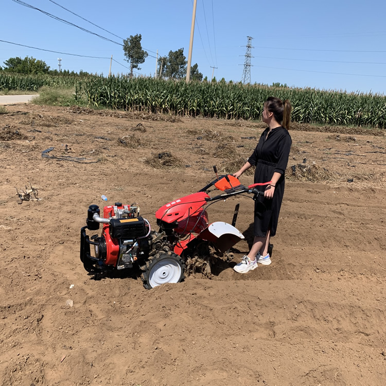 195风冷柴油单缸微耕机丽建沛县独轮链轨微耕机