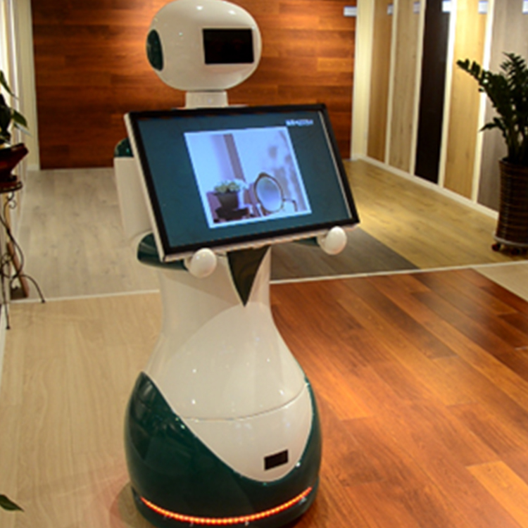 迎宾机器人 厂家直营 质量保障 规格多种