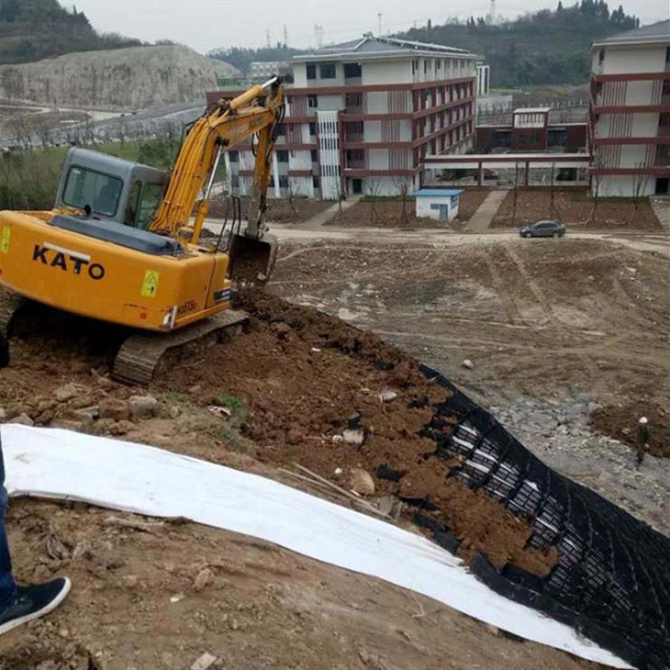 建兴 辽宁土工格室厂家生产全国发货 焊接土工格室