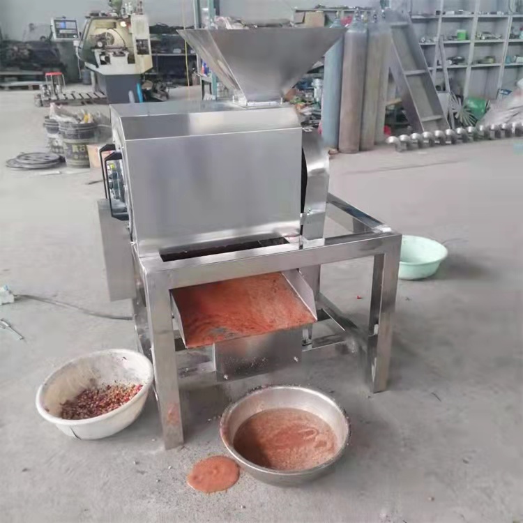 菠萝西红柿大型榨汁机 苹果梨子榨汁机 水果蔬菜压榨机