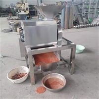 菠萝西红柿大型榨汁机 苹果梨子榨汁机 水果蔬菜压榨机