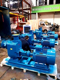 博禹泵业 污水泵 ZW型自吸排污泵 自吸式无堵塞排污泵定制