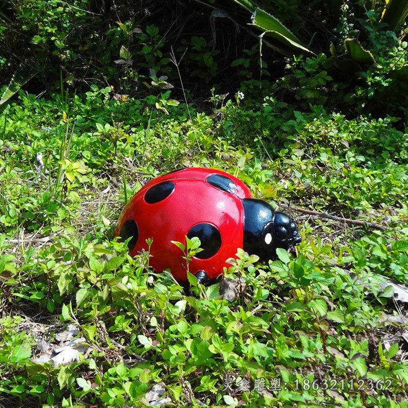 公园仿真七星瓢虫