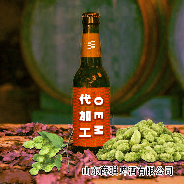 oem啤酒贴牌小瓶酒吧啤酒品牌定制加工特色果味啤酒代理
