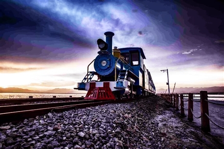 观光火车，有轨观光车， 儿童观光火车 柴油观光火车价格