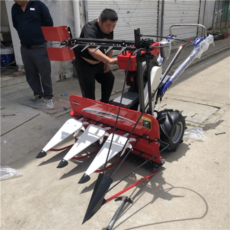 农用小型割晒机芝麻大豆秸秆收割机紫花苜蓿手扶割草机