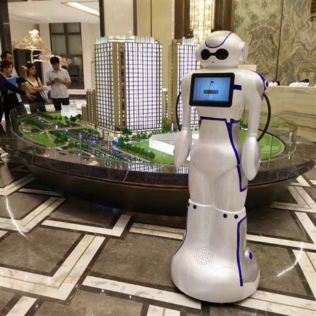 商務迎賓機器人大白 源頭廠家 量大優(yōu)惠 支持定制