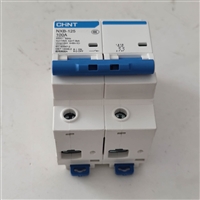 正泰断路器NXB-125 2P 100A 昆仑系列家庭配电箱空气开关断路器