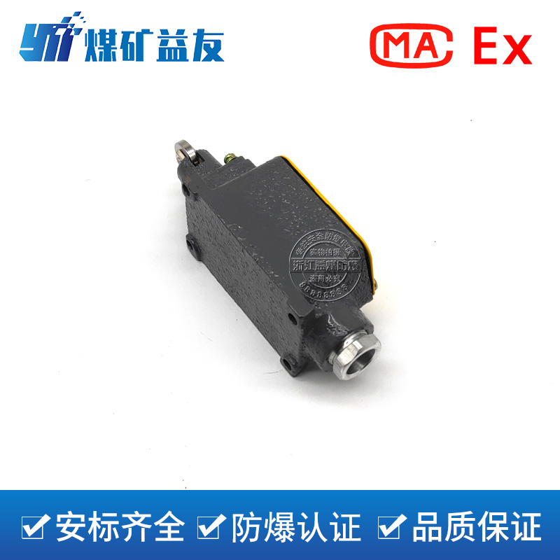 无缘触点开关 KXH-0.5/24矿用行程开关