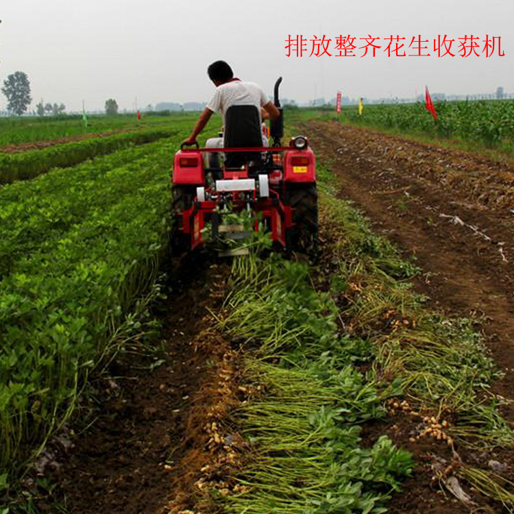 链条式收花生机平铺放果子收获机手扶牵引式花生收获机