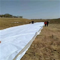 柳州黄鳝养殖两布一膜 pp蓄水模块两布一膜 高铁隧道防水土工布