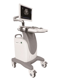 宠物狗彩超 彩超宠物设备  宠物腹部肺部彩超 宠物彩超机报价