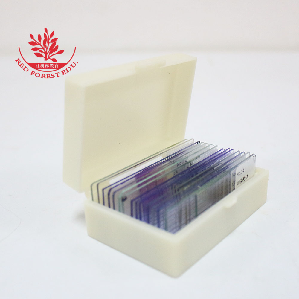 实验高教科研6片装细胞遗传学染色体玻片