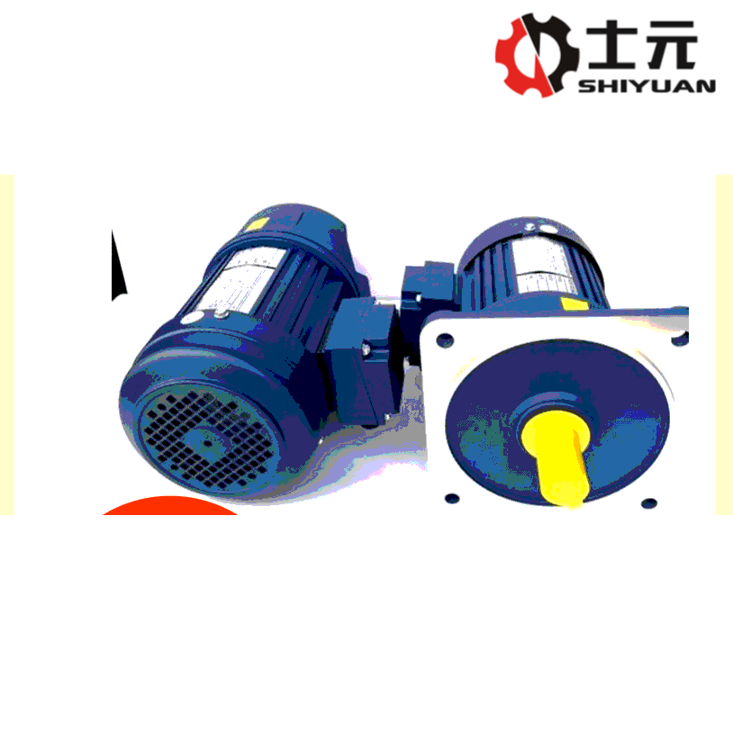 士元 小型齿轮减速马达 齿轮减速电机 生产厂家