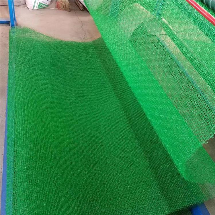 固土三维植被网 三维网植草护坡技术 东吴 助力生态环境建设