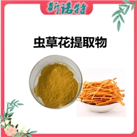 蟲草花提取物 植物萃取  斯諾特  10:1 可定制  免費(fèi)拿樣