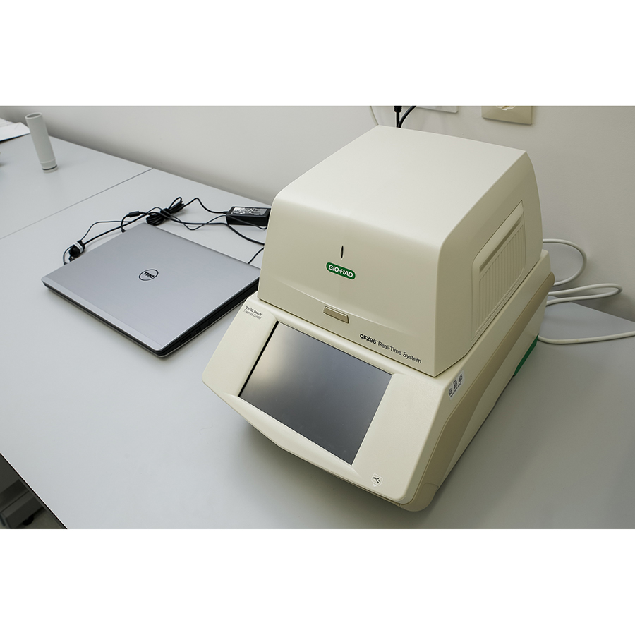 迪图美国bio radcfx96 touch实时荧光定量pcr仪市场价