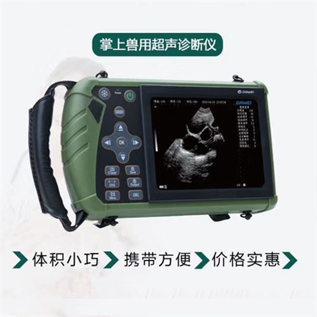徐州猪用b超 猪场用b超 兽用猪b超机 猪用的b超价钱 母猪b超机价格